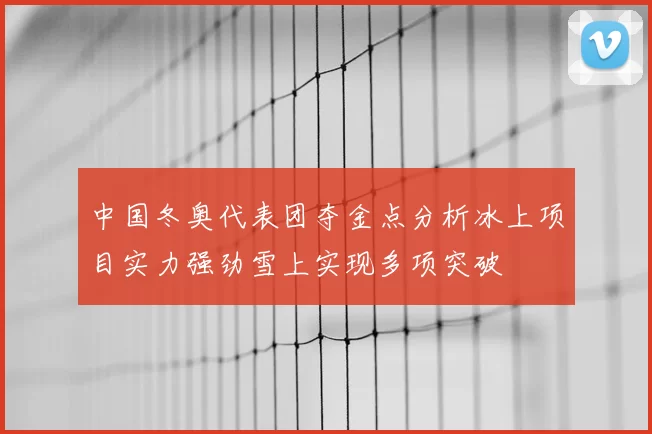 中国冬奥代表团夺金点分析冰上项目实力强劲雪上实现多项突破