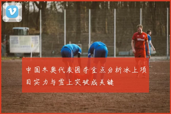 中国冬奥代表团夺金点分析冰上项目实力与雪上突破成关键